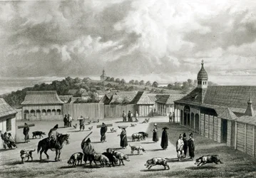 Plaza de San-Carlos de Chiloe, 1835
